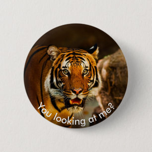 Cute Tiger in grass 6 Cm Round Badge