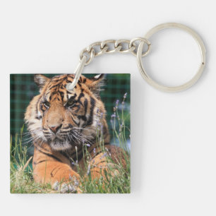 Cute Tiger in grass Key Ring