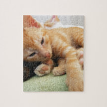 Cute Tiger Stripe Kitten