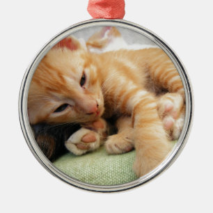 Cute Tiger Stripe Kitten Metal Tree Decoration