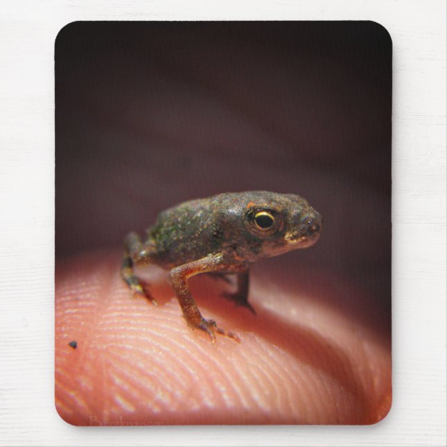 Cute Tiny Baby Toad / Tadpole Mouse Mat (Front)
