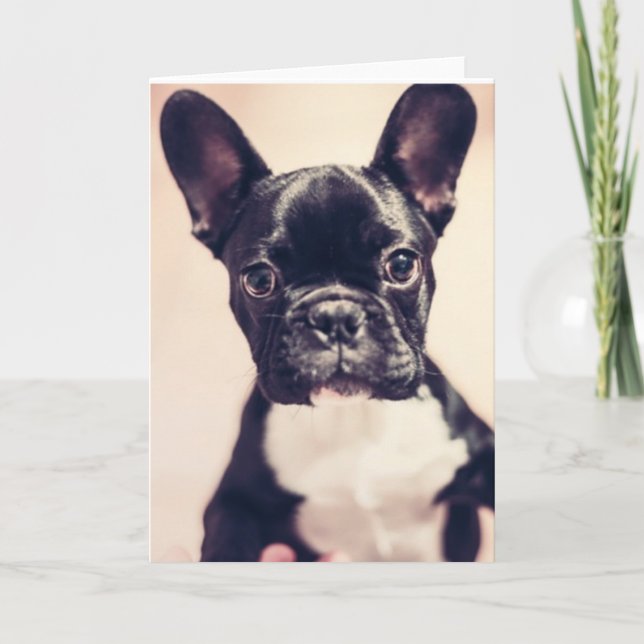 Cute Tiny Black and White Puppy Card (Front)