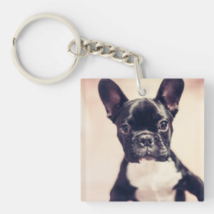 Cute Tiny Black and White Puppy Key Ring