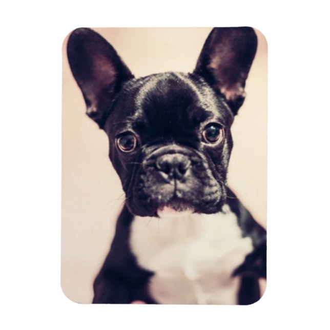 Cute Tiny Black and White Puppy Magnet (Vertical)