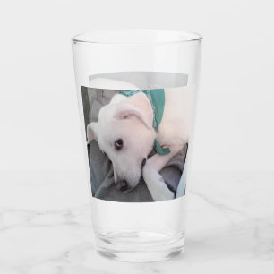 Cute Tired White Dog Wearing Green Scarf Glass