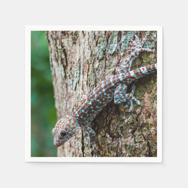 Cute Tokay Gecko Lizard Napkin (Front)