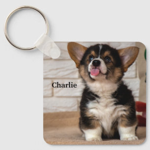 Cute Tri color Pembroke Welsh Corgi Puppy Dog Key Ring