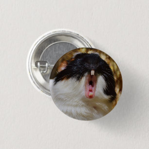 Cute Tri-colour Guinea Pig Yawning 3 Cm Round Badge