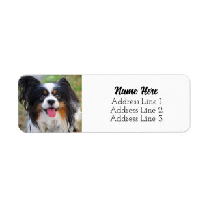 Cute Tri Colour Papillon Puppy Dog Return Address