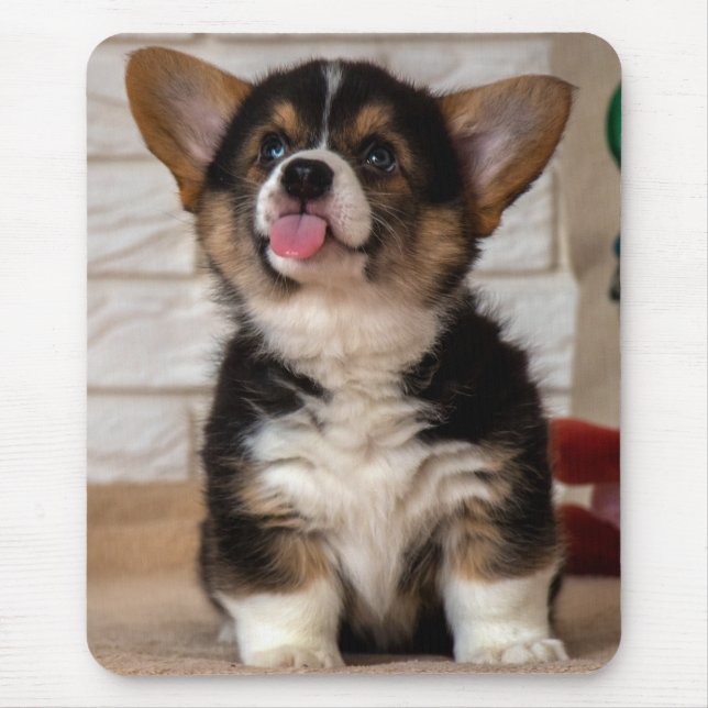 Cute Tri colour Pembroke Welsh Corgi Puppy Dog Mouse Mat (Front)