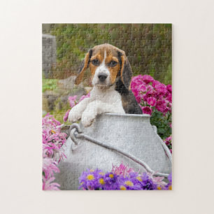 Cute Tricolor Beagle Dog Puppy Churn - Game Jigsaw Puzzle
