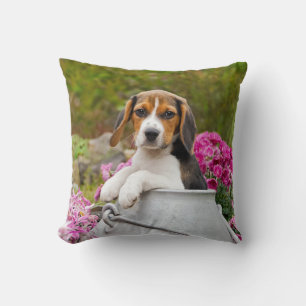 Cute Tricolor Beagle Dog Puppy in a Milk Churn - Cushion