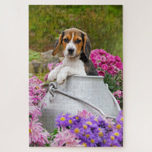 beagle gift ideas