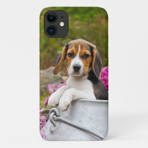 Cute Tricolor Beagle Dog Puppy Pet in a Milk Churn iPhone 11 Case