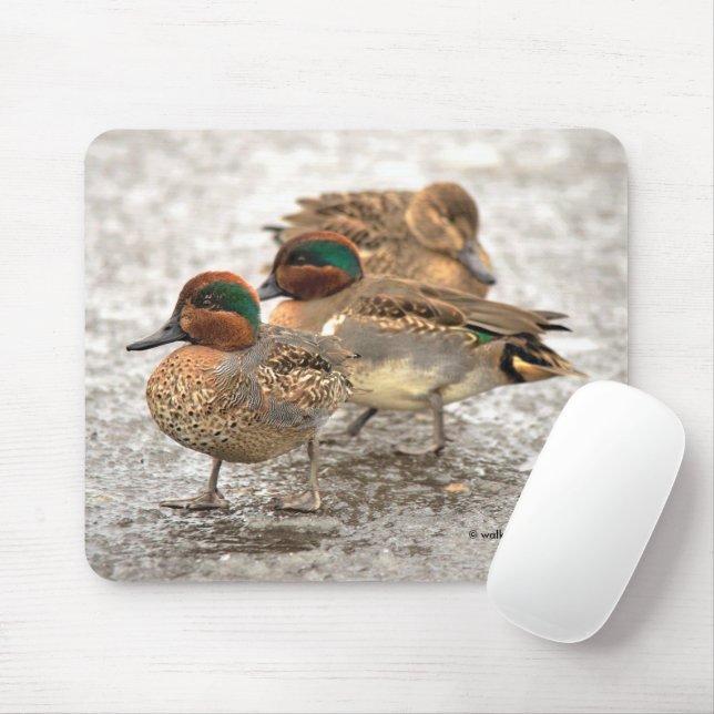 Cute Trio of Green-Winged Teals Ducks Mouse Mat (With Mouse)