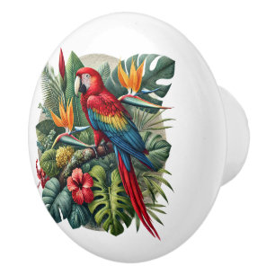 Cute tropical beach house parrot ceramic knob