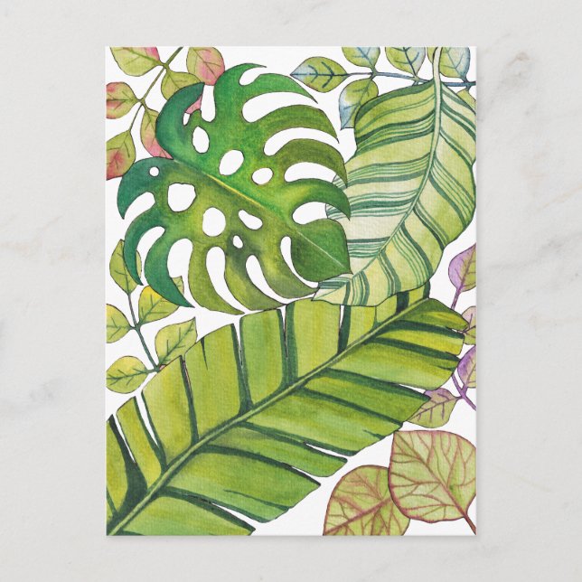 Cute Tropical Leaves In Watercolor Postcard (Front)
