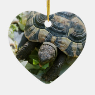 Cute Turtle Ceramic Tree Decoration
