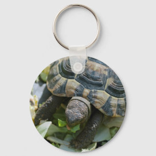 Cute Turtle Key Ring