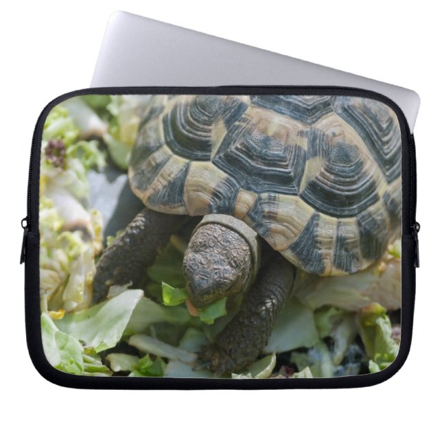 Cute Turtle Laptop Sleeve (Front)