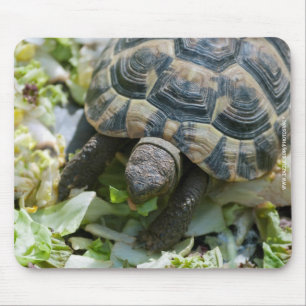 Cute Turtle Mouse Mat