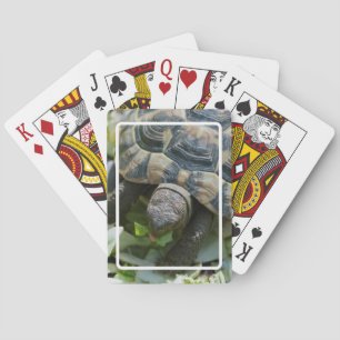 Cute Turtle Playing Cards