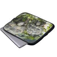 Cute turtles