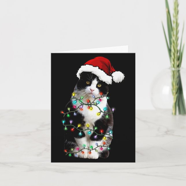 Cute Tuxedo Black Cat Christmas Light Cat Christma Card (Front)