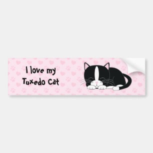 Cute Tuxedo Cat Bumper Sticker