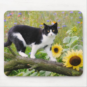 Cute tuxedo cat on a tree branch with sunflowers - mouse mat