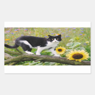 Cute tuxedo cat on a tree branch with sunflowers - rectangular sticker