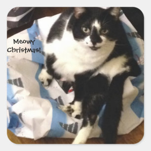 Cute Tuxedo Cat Present Meowy Christmas Stickers