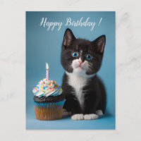 Cute Tuxedo Kitten Has A Birthday Cupcake For You