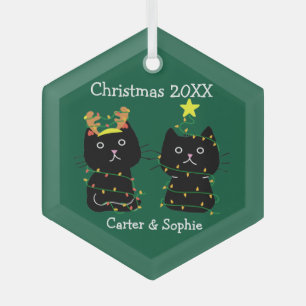 Cute Two Cat Christmas Lights Personalised Green Glass Tree Decoration