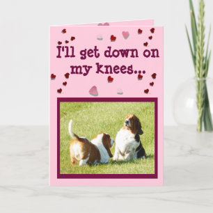 Cute Valentine's Day Card w/Funny Basset Hounds