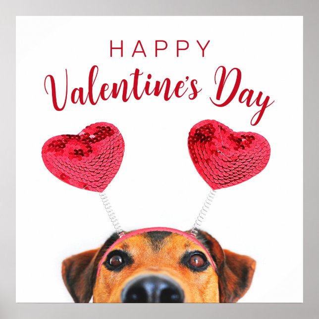 Cute Valentine's Day Dog Funny Heart Headband Poster (Front)