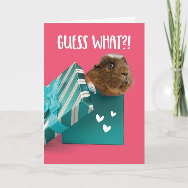 Cute Valentines Day Guinea Pig Present Holiday Card (Front)