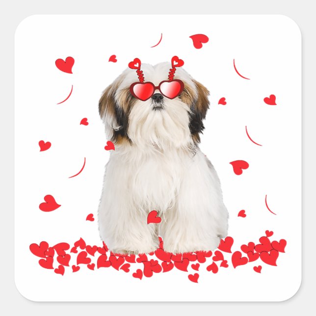 Cute Valentines Day Shih Tzu | Dog Hearts Square Sticker (Front)