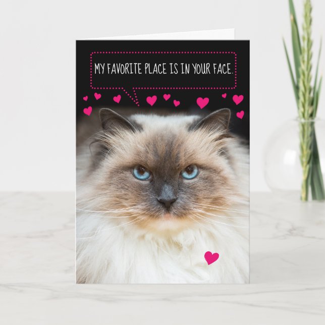 Cute Valentine's Day Siamese Cat and Hearts Card (Front)