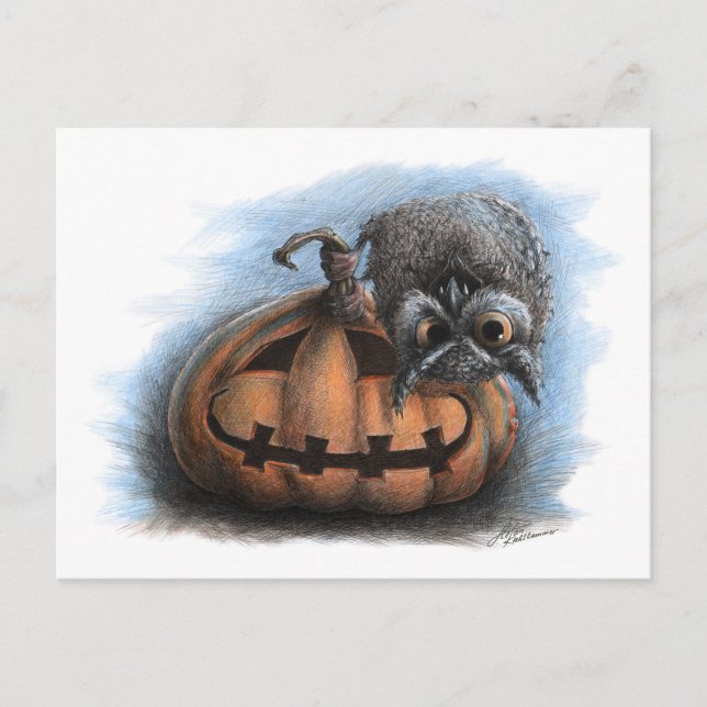 Cute Vampire Owl on Pumpkin- Halloween postcard (Front)