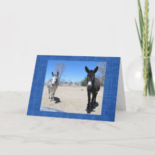 Cute Vet School Graduate Western Ranch Farm DVM Card