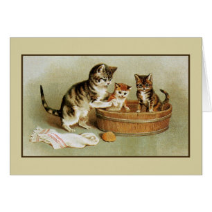 Cute Victorian cat bathing kittens in bath tub