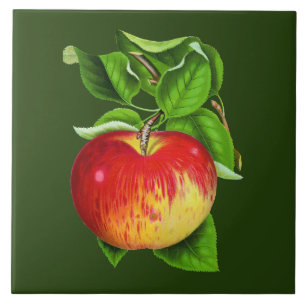 Cute vintage Apple kitchen decor Tile