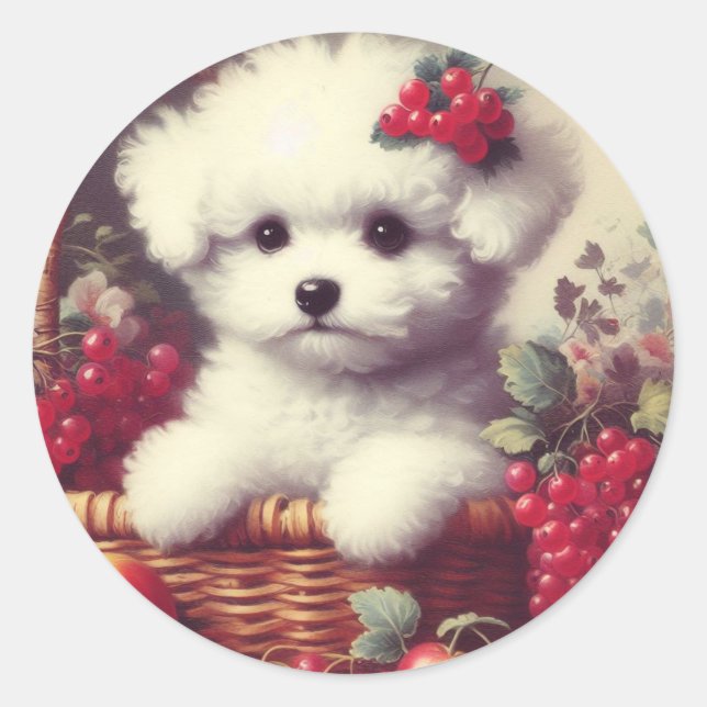 Cute Vintage Bichon Frisé Painting Classic Round Sticker (Front)