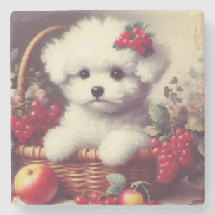 Cute Vintage Bichon Frisé Painting Stone Coaster