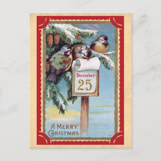Cute Vintage Birds Merry Christmas Postcard (Front)
