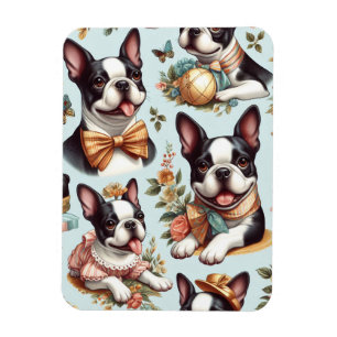 Cute Vintage Boston Terrier Illustration Magnet