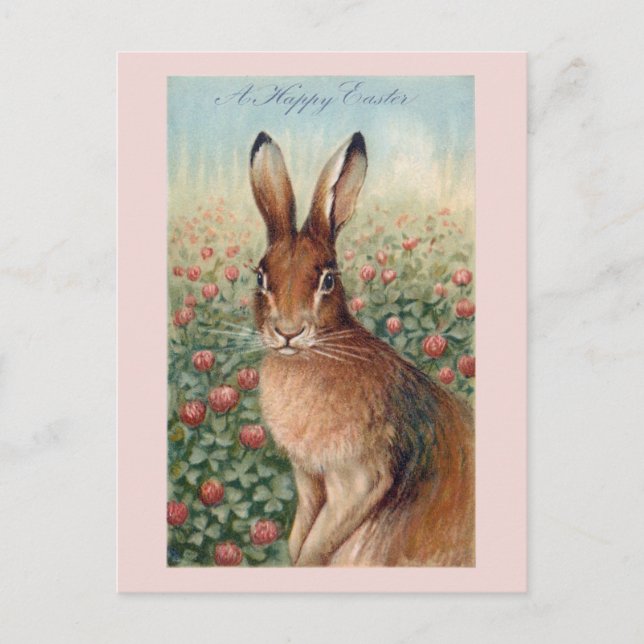 Cute Vintage Brown Easter Bunny and Clover Postcard (Front)