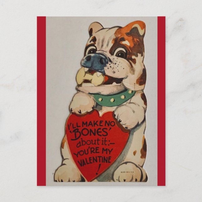Cute Vintage Bulldog 1950's Valentine Postcard (Front)
