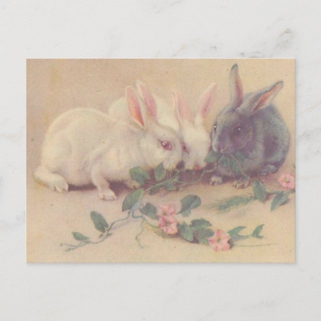 Cute Vintage Bunnies Postcard (Front)
